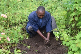 Technology helps tree-planting champions in Tanzania